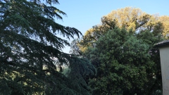 CINCIANO-2025-2442