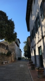 CINCIANO-2025-2448