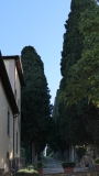 CINCIANO-2025-2449