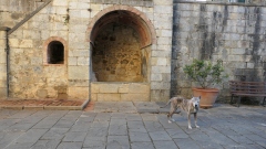 CINCIANO-2025-2451