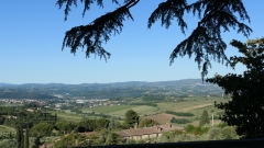 CINCIANO-2025-2454